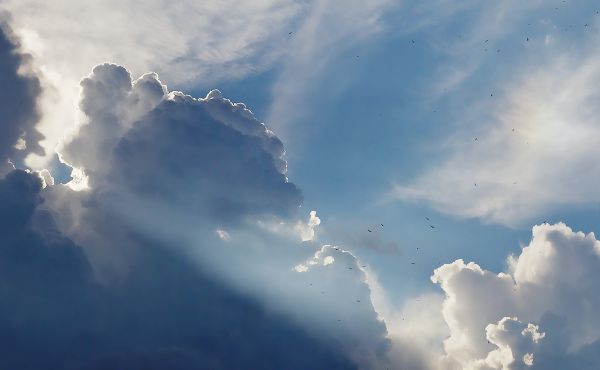Church calls for healing after General Election