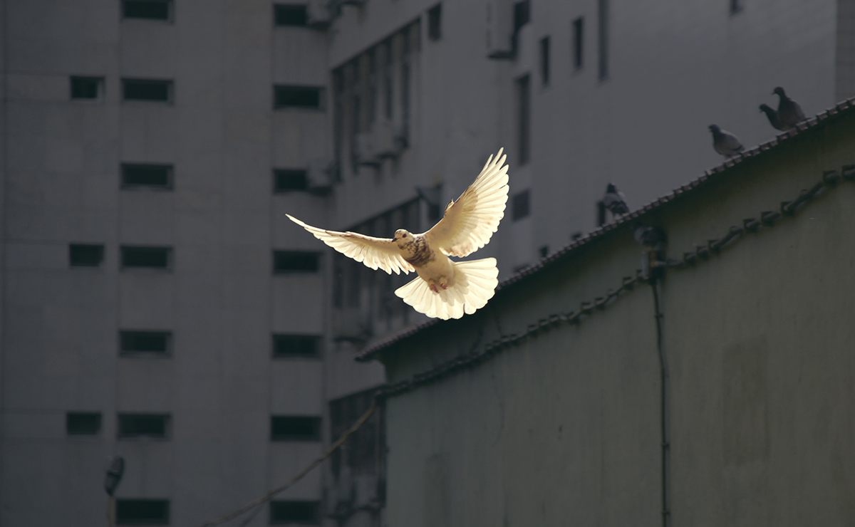 Peace campaigners are staging a protest outside a controversial arms fair in Glasgow today/tomorrow (June 26) to express outrage at the “untold suffering” that weapons of war cause around the world.