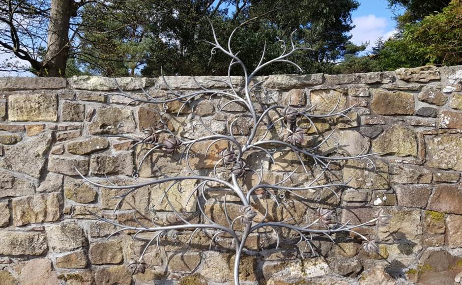 Galloway Vine