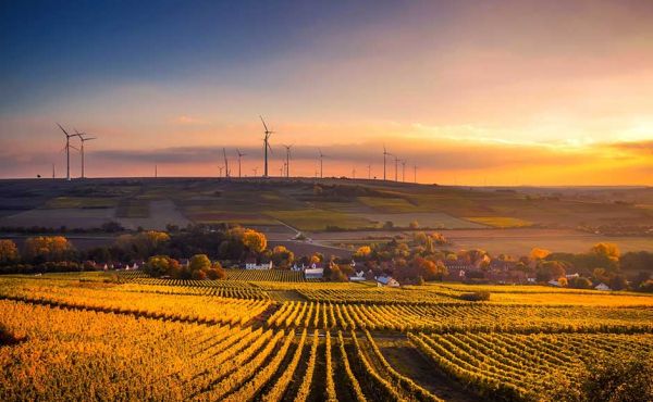 Field with wind turbine