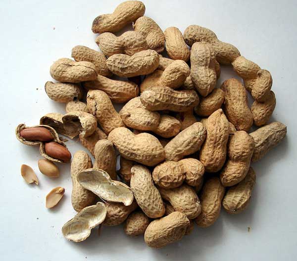 Peanuts