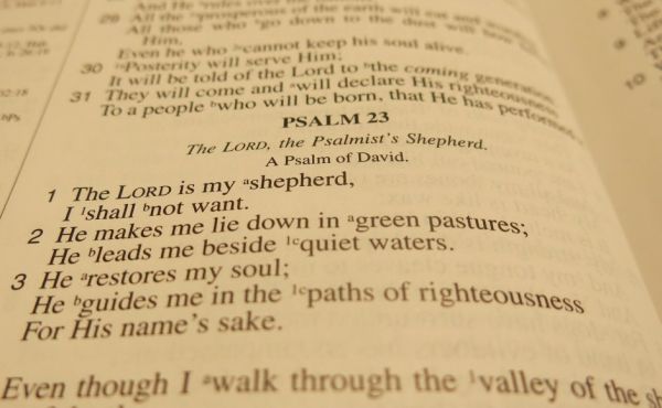 The Bible 