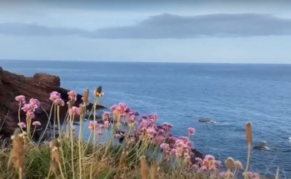 The coastline near Arbroath