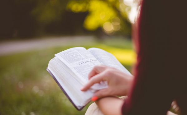 Woman reading Bible