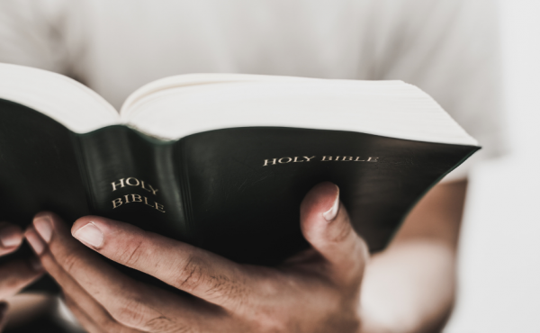 Man's hands holding a Bible