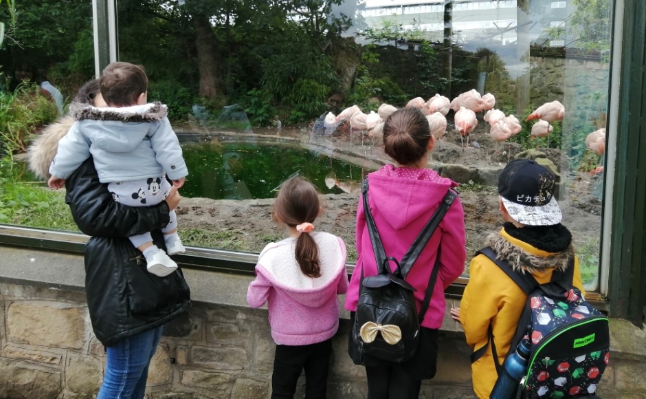 Edinburgh Zoo visit